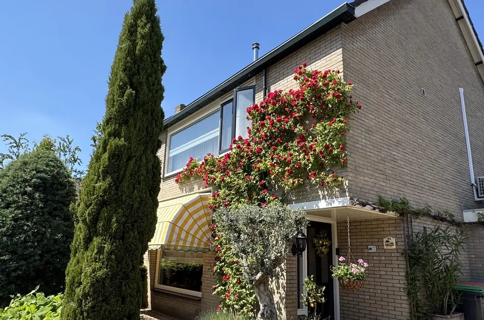 Waalstraat 99