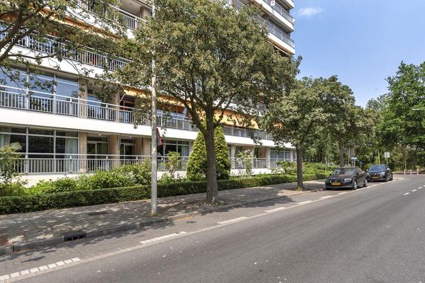 Cees Laseurlaan 1035