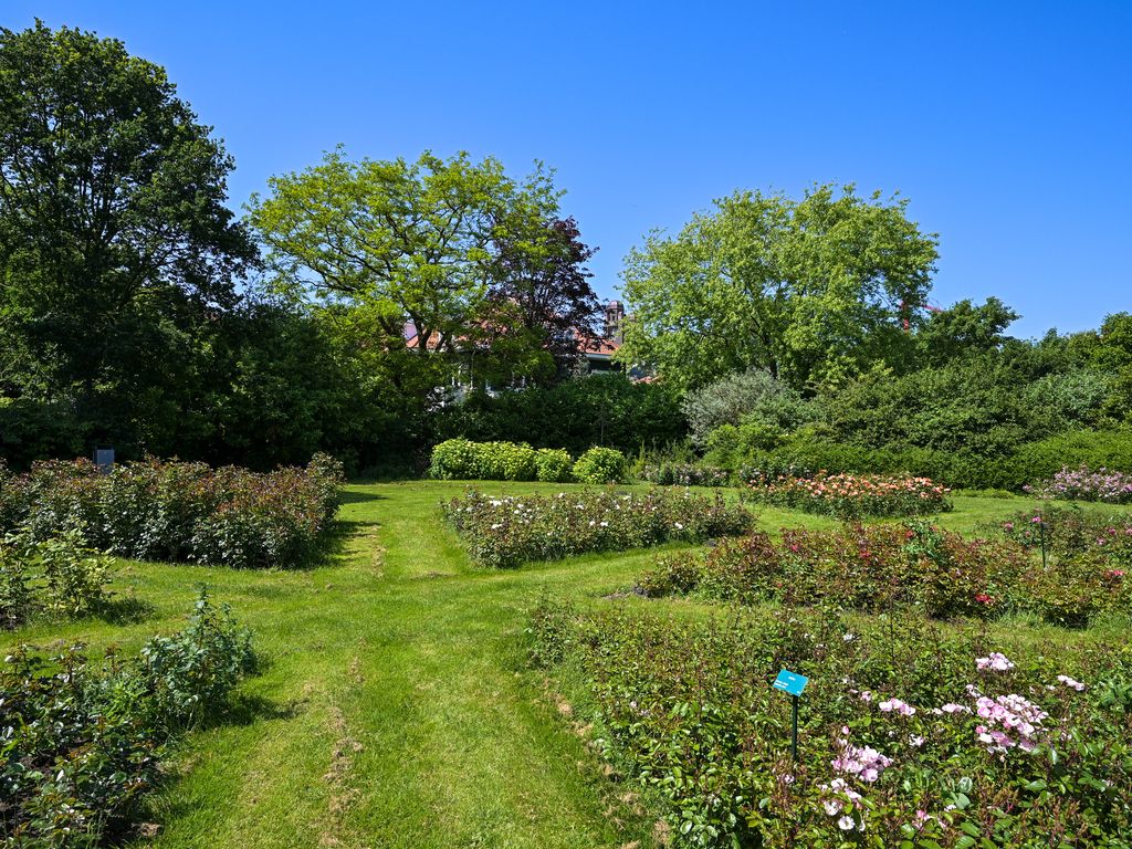 Kapelweg 5, 'S-GRAVENHAGE