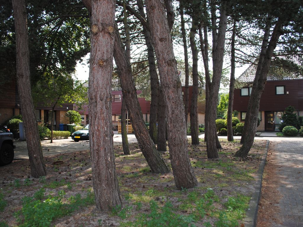 Dahliahof 2, WASSENAAR