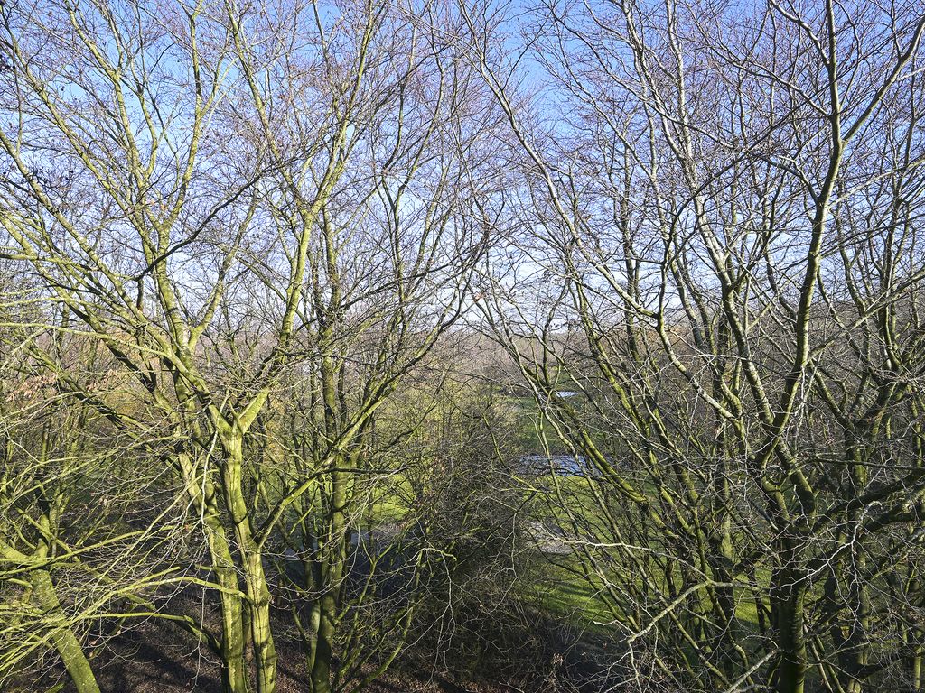 Cees Laseurlaan 159, 'S-GRAVENHAGE