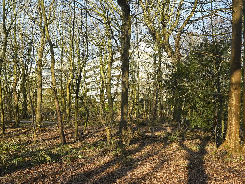 Cees Laseurlaan 159, 'S-GRAVENHAGE