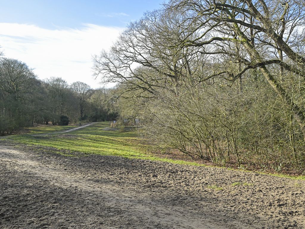 Cees Laseurlaan 159, 'S-GRAVENHAGE