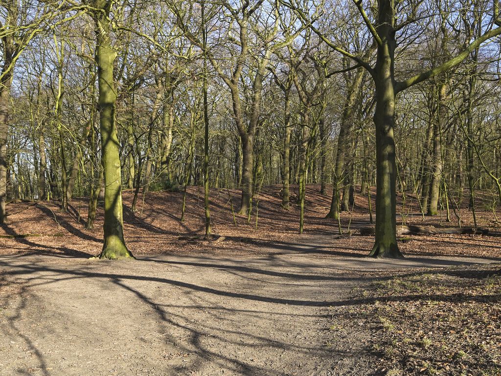 Cees Laseurlaan 159, 'S-GRAVENHAGE