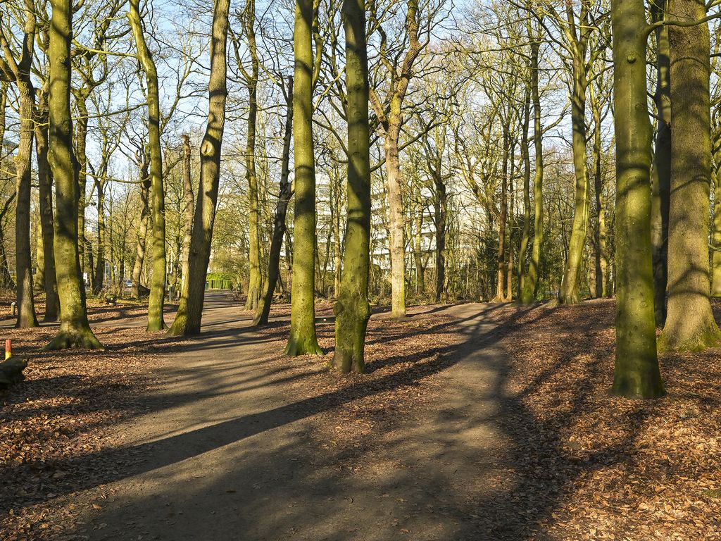 Cees Laseurlaan 159, 'S-GRAVENHAGE