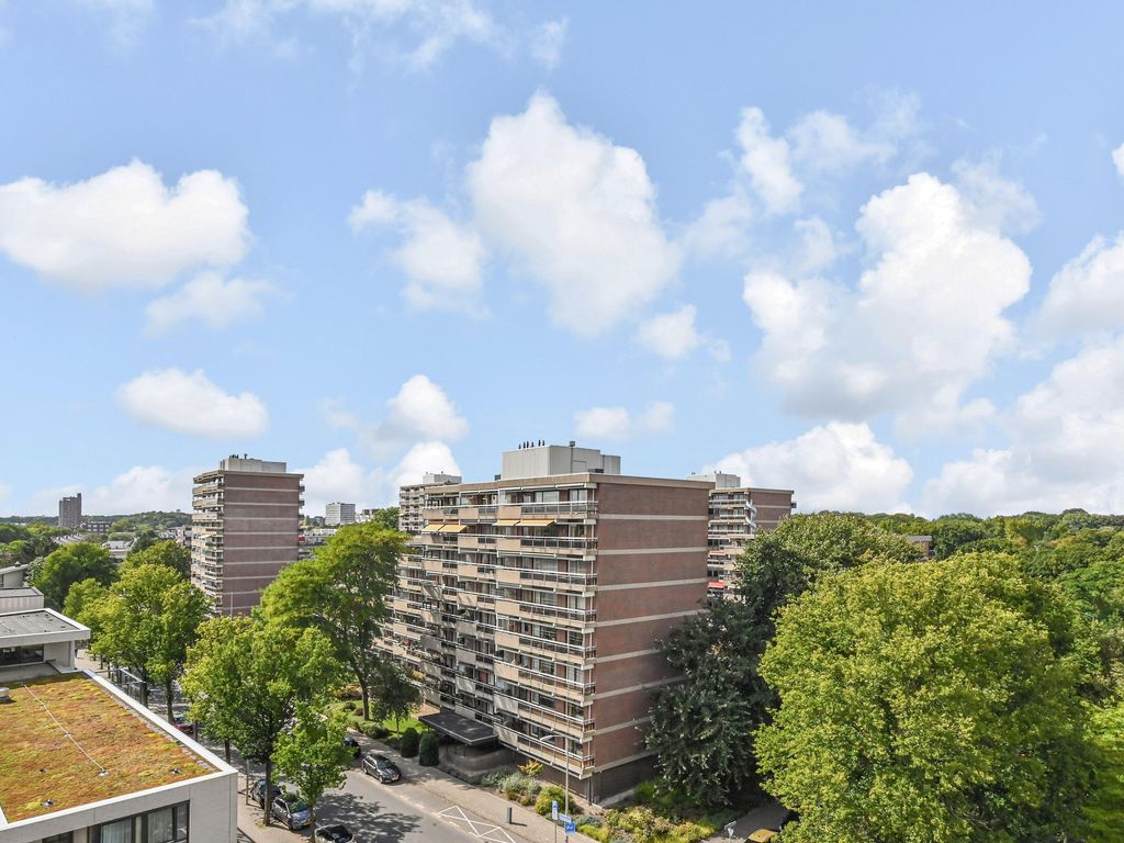 Cees Laseurlaan 347, 'S-GRAVENHAGE