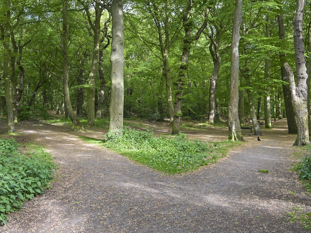 Cees Laseurlaan 159, 'S-GRAVENHAGE