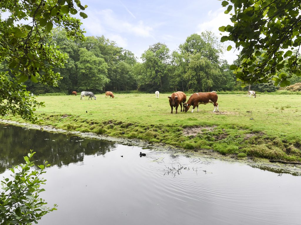 Laan van Clingendael 43, 'S-GRAVENHAGE