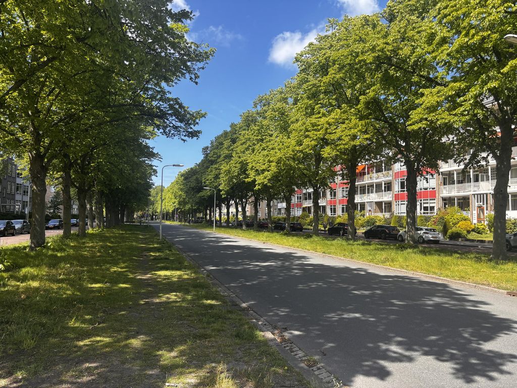 Laan van Clingendael 43, 'S-GRAVENHAGE