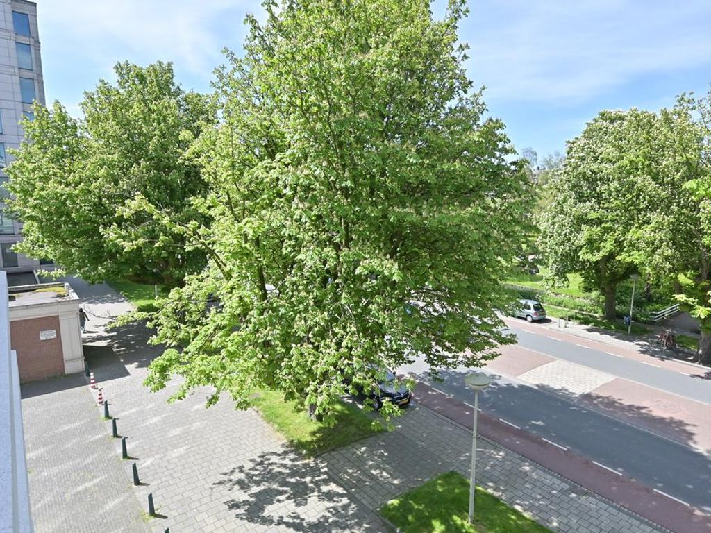 Burgemeester De Monchyplein 213, 'S-GRAVENHAGE