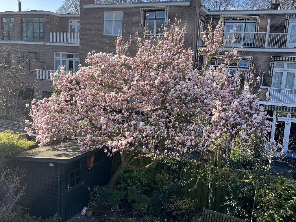 Ruychrocklaan 134, 'S-GRAVENHAGE