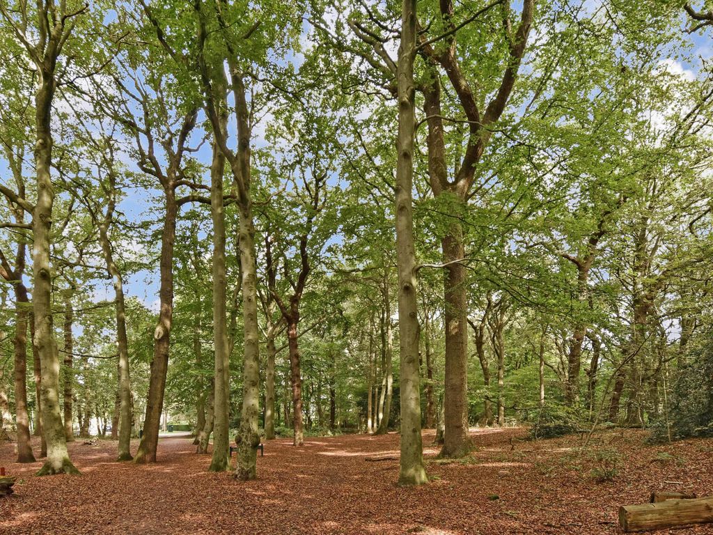 Ruychrocklaan 452, 'S-GRAVENHAGE