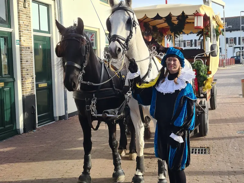 Pietentram Brielle Aelbrechtshoeve.jpg