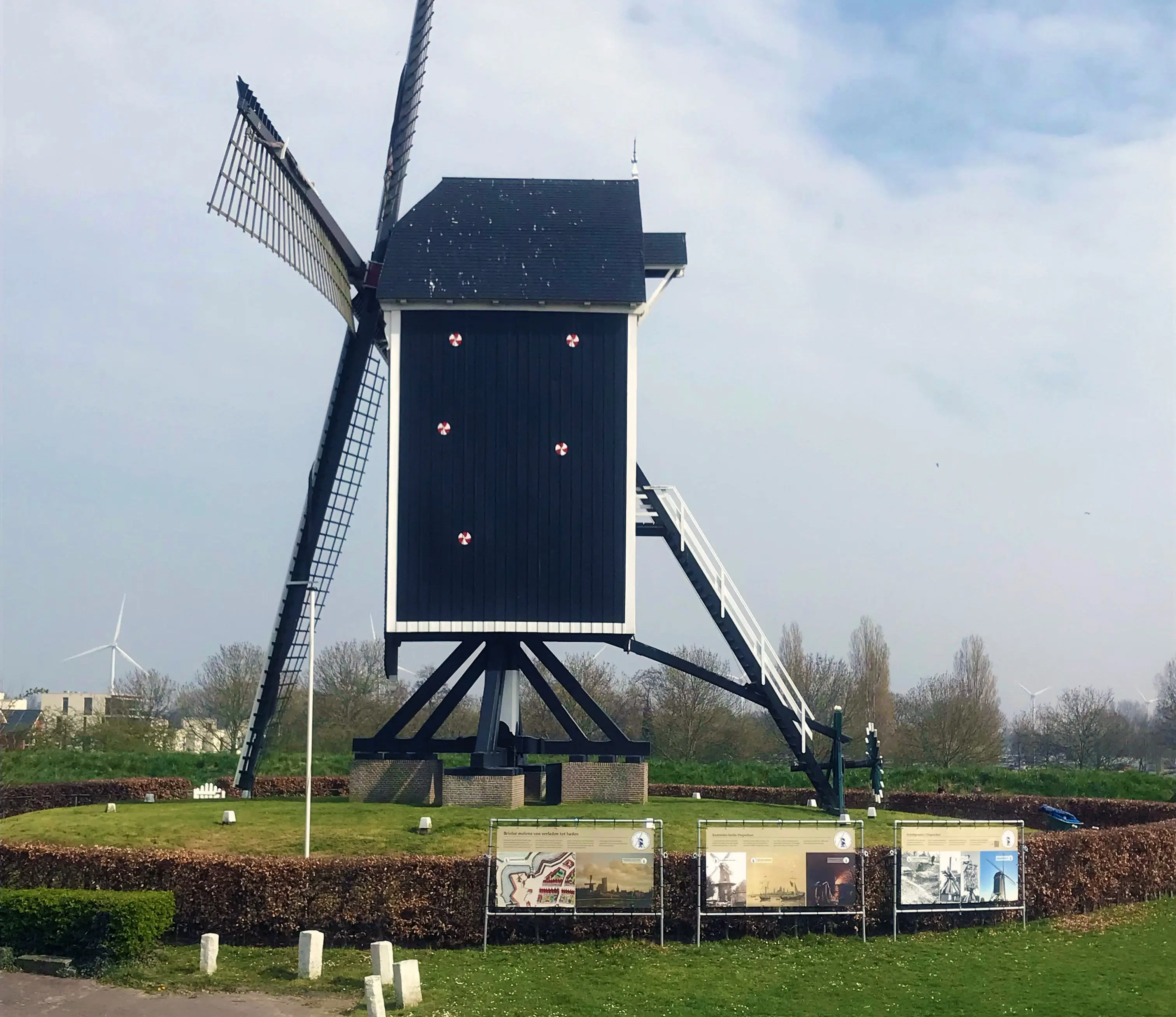 Korenmolen ‘t Vliegend Hert exposeert