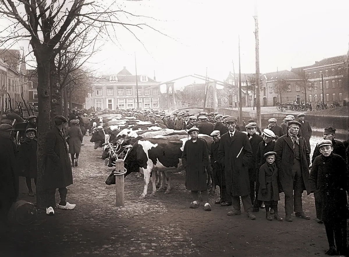 De Straat van mijn Grootouders