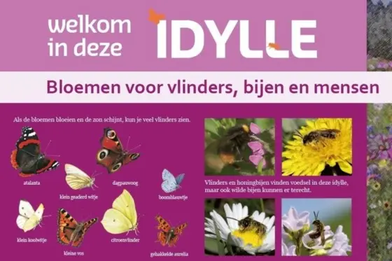 Vlindertuin