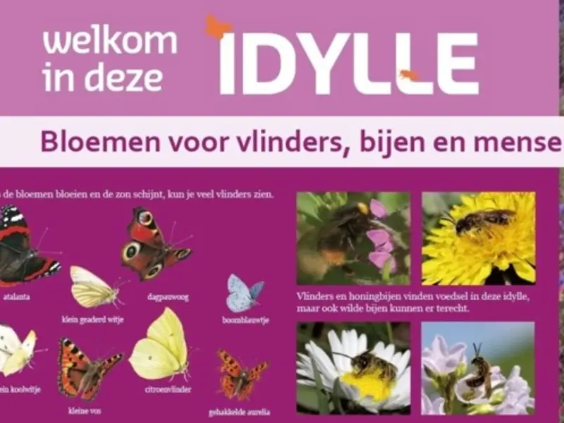 Vlindertuin