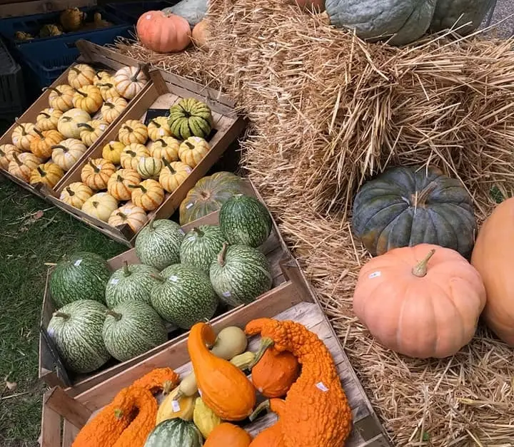 Pompoenfair