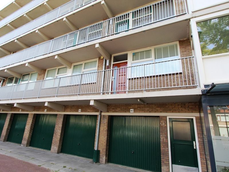Ruysdaelstraat 81, ROZENBURG
