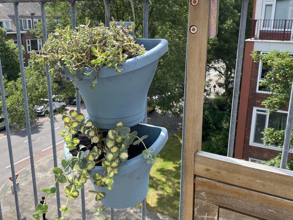 Hekbootstraat 28D, ROTTERDAM