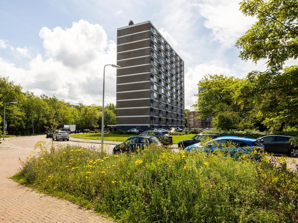 Heliotrooplaan 358C, 'S-Gravenhage