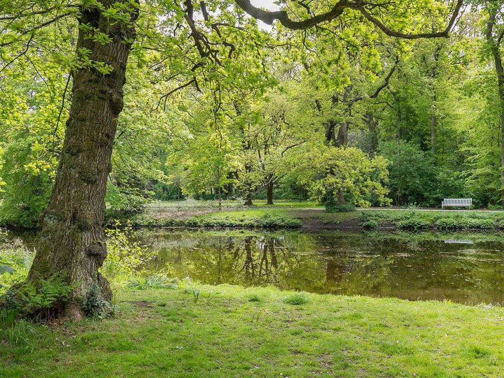 Van Hogenhoucklaan 50, 'S-Gravenhage