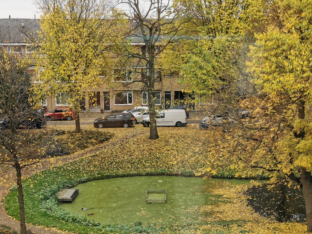 Buys Ballotsingel 68A, Schiedam