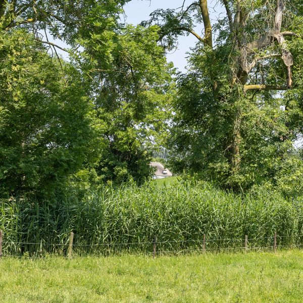 De Woerd 4, 'S-Hertogenbosch
