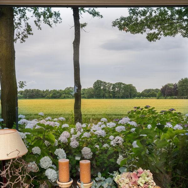 Kaathoven 3, Vinkel