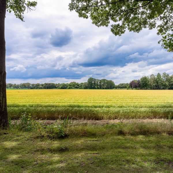 Kaathoven 3, Vinkel