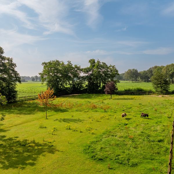 Kaathoven 3, Vinkel