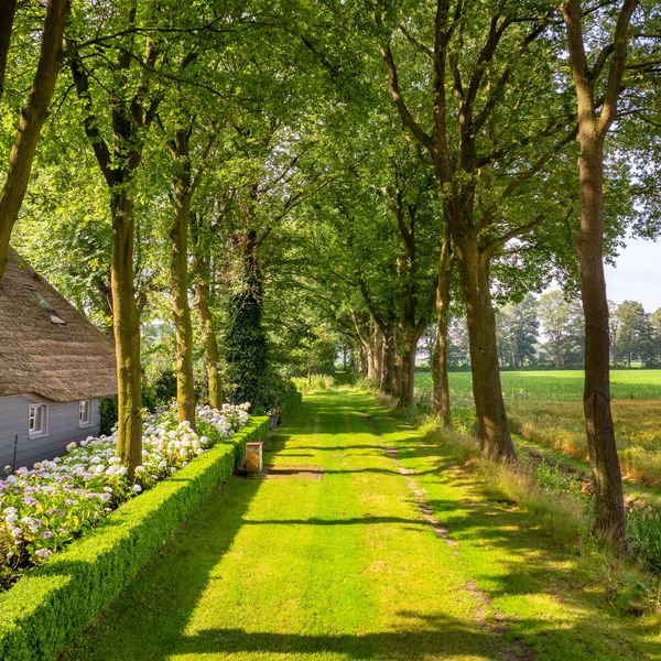 Kaathoven 3, Vinkel