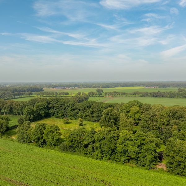 Kaathoven 3, Vinkel