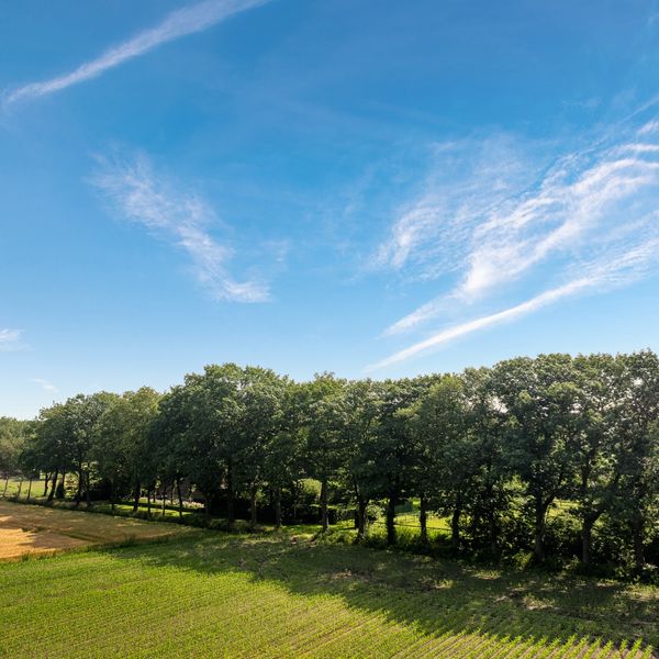 Kaathoven 3, Vinkel