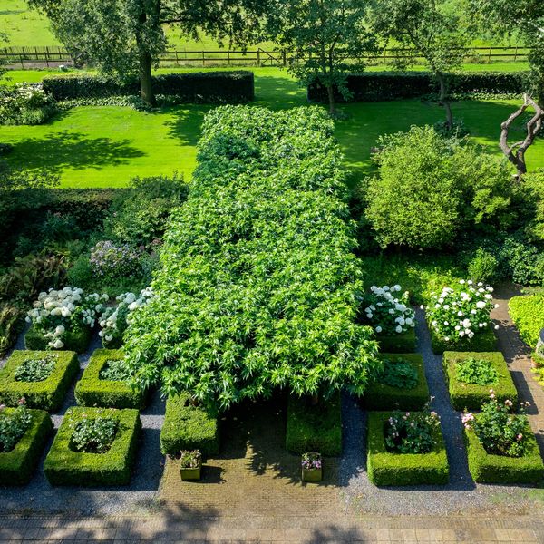 Kaathoven 3, Vinkel