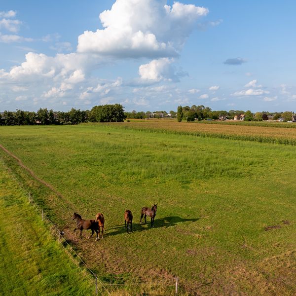 Provincialeweg 70, Velddriel