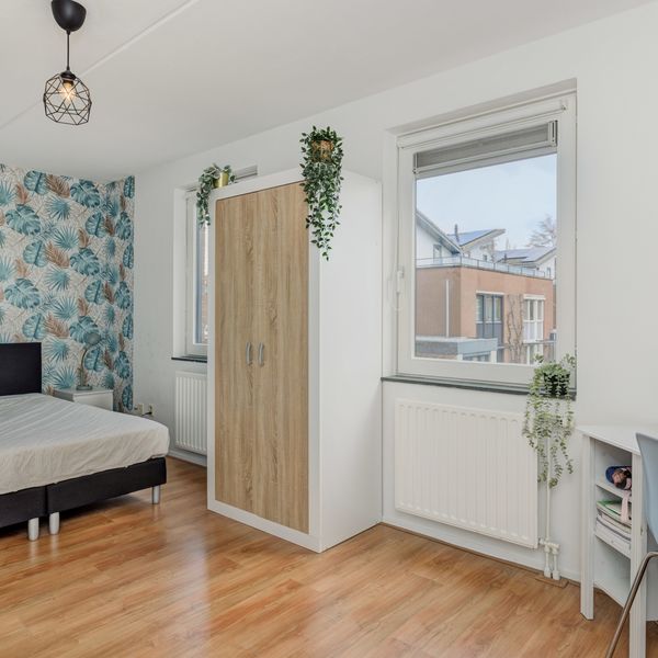 Schout Van Vertaingstraat 11, 's-Hertogenbosch
