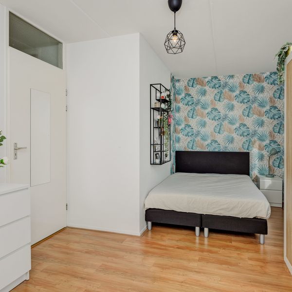 Schout Van Vertaingstraat 11, 's-Hertogenbosch