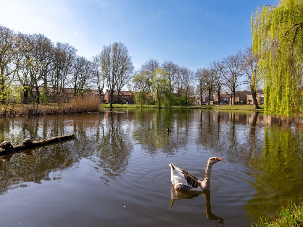 Schoolstraat 5A, 's-Hertogenbosch