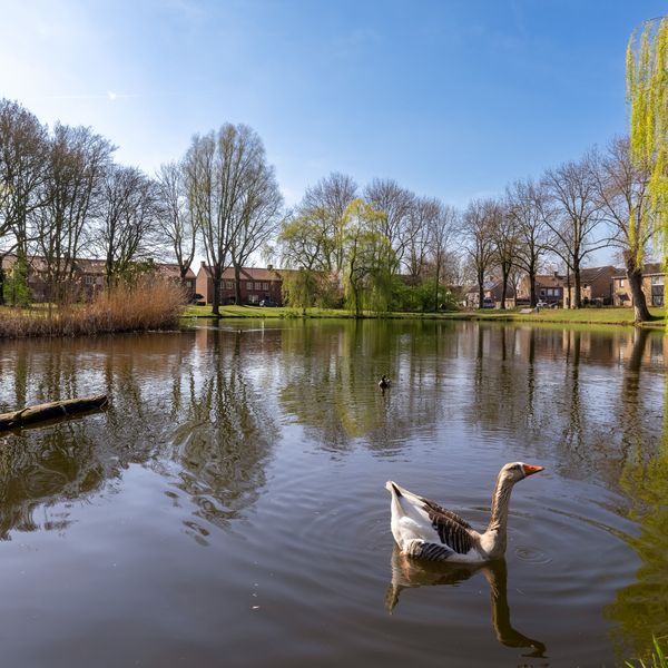Schoolstraat 5A, 's-Hertogenbosch