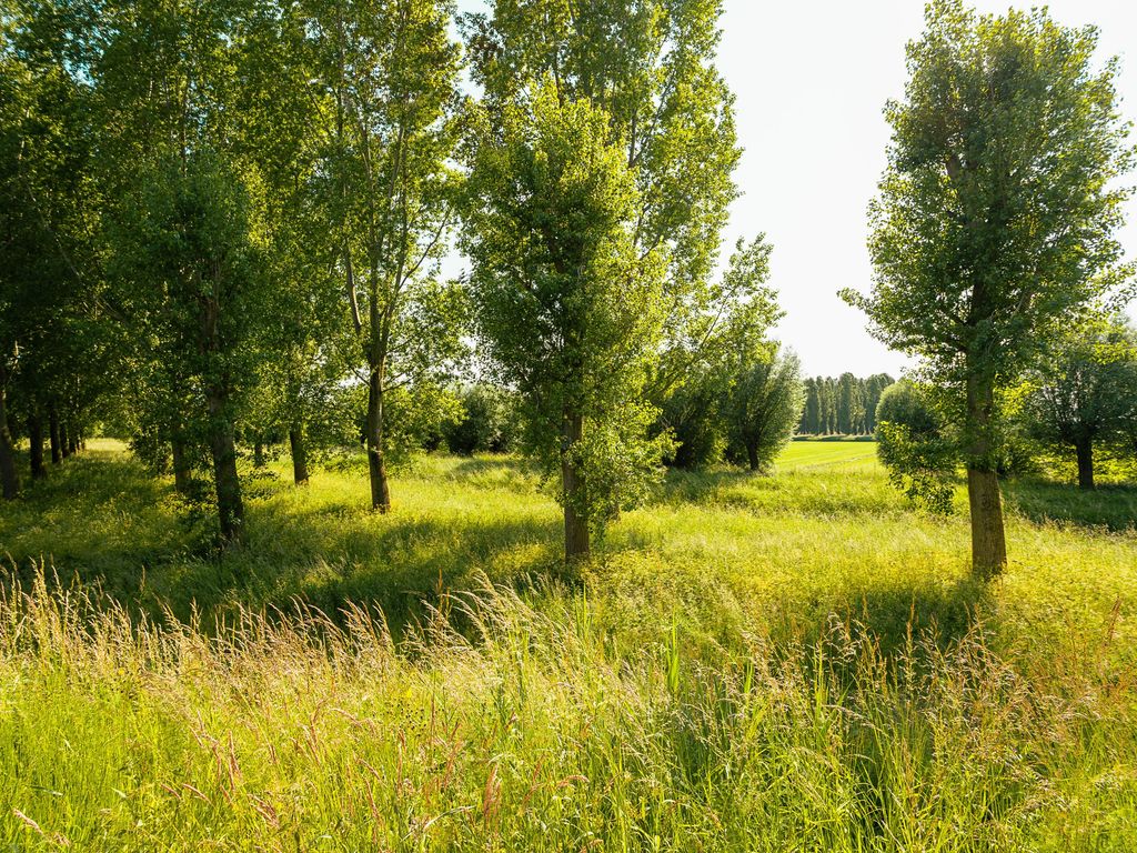 Beeckendael 26, 's-Hertogenbosch