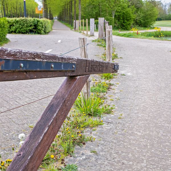 Parcivalring 251, 'S-Hertogenbosch