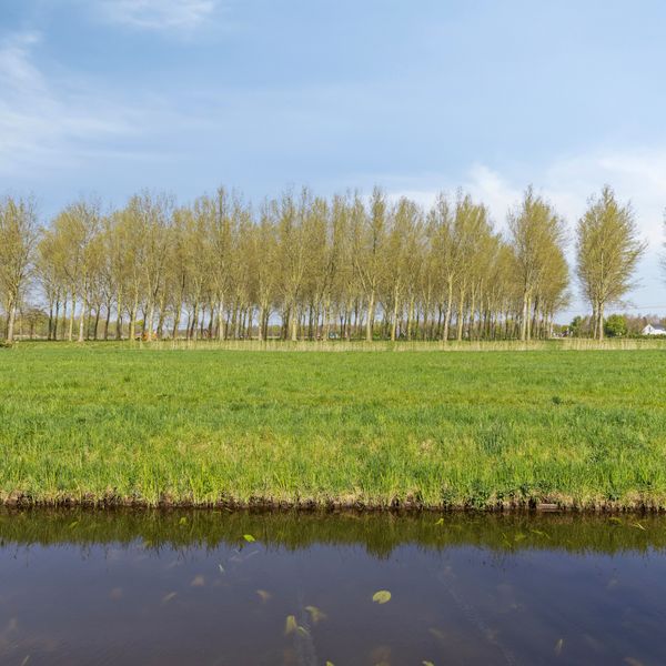 De Vutter 3, 's-Hertogenbosch