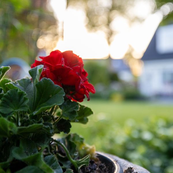 Rondeweg 4, 's-Hertogenbosch