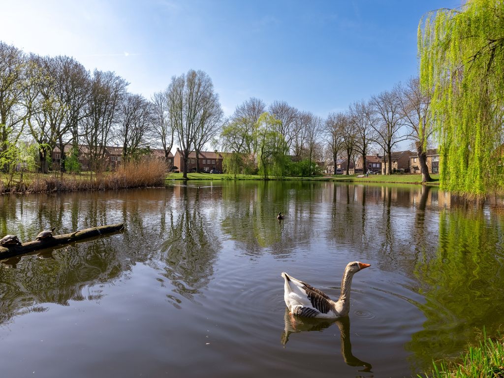 Dr. H.P. Heinekenstraat 2, 's-Hertogenbosch