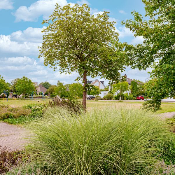 Aalscholverlaan 11, 's-Hertogenbosch