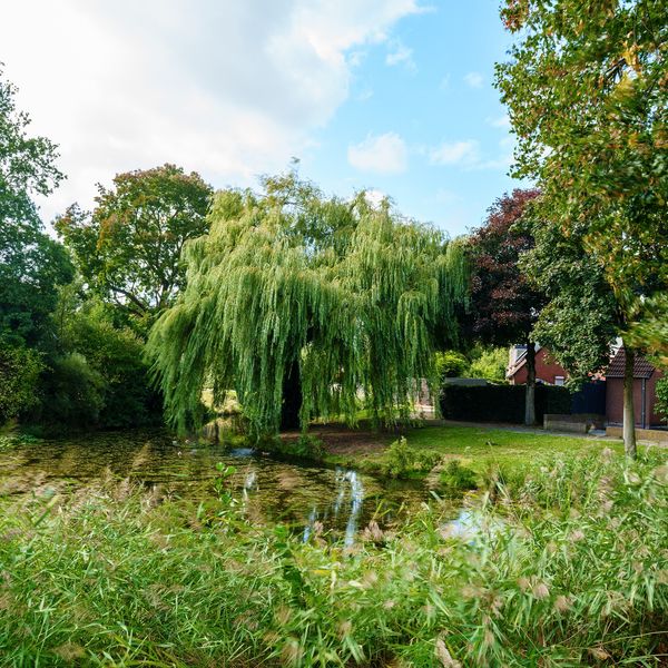 Stapelen 2, 's-Hertogenbosch