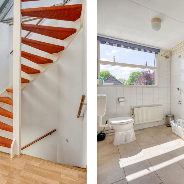 Roerdomp 37, 's-Hertogenbosch