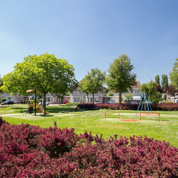 Roerdomp 37, 's-Hertogenbosch