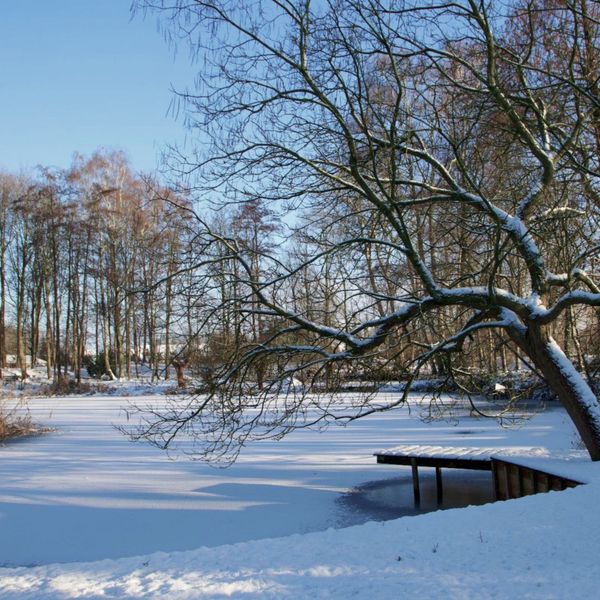 Runselstraat 10, Berghem